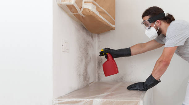 Professional Bathroom Mold Removal technician working in Commack, NY